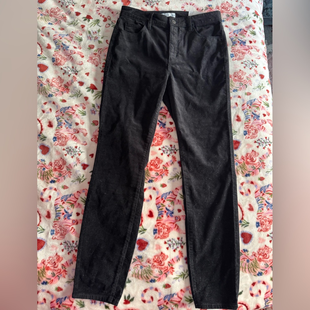 NWT LOFT high rise Curvy Fit Skinny Corduroy Pants size 27 (4)